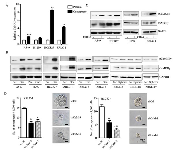fig2a