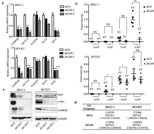 fig2b