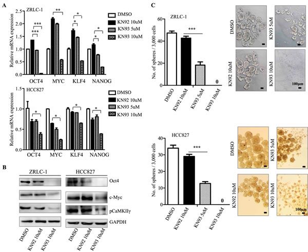 fig4a