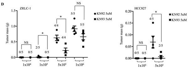 fig4b