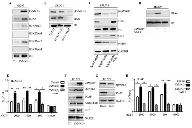 fig7