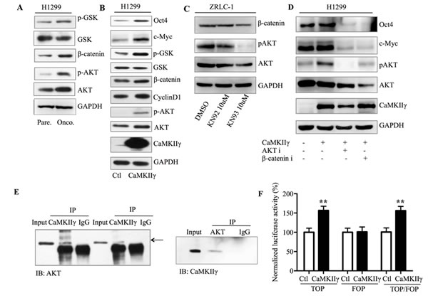 fig6a