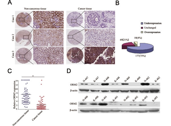 fig1