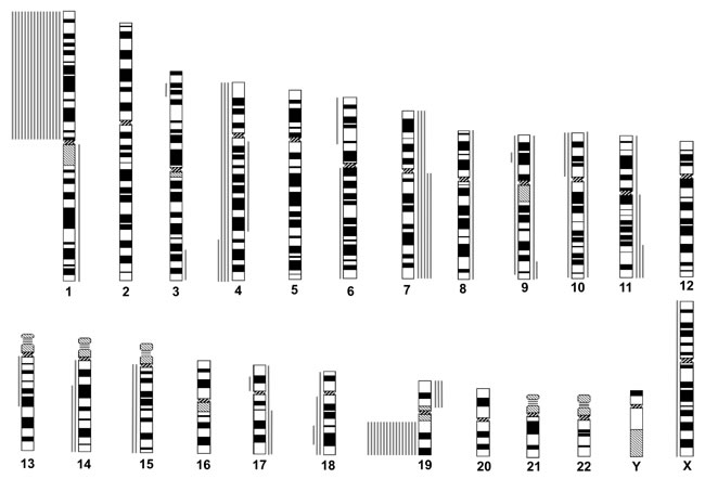fig2