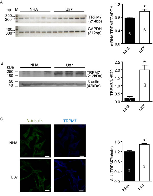 fig1