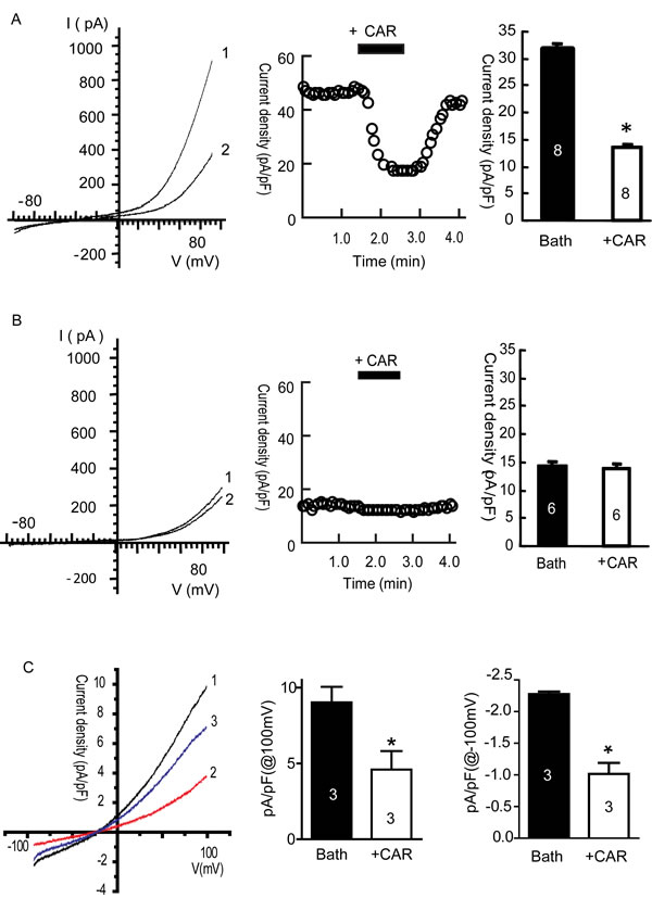 fig2
