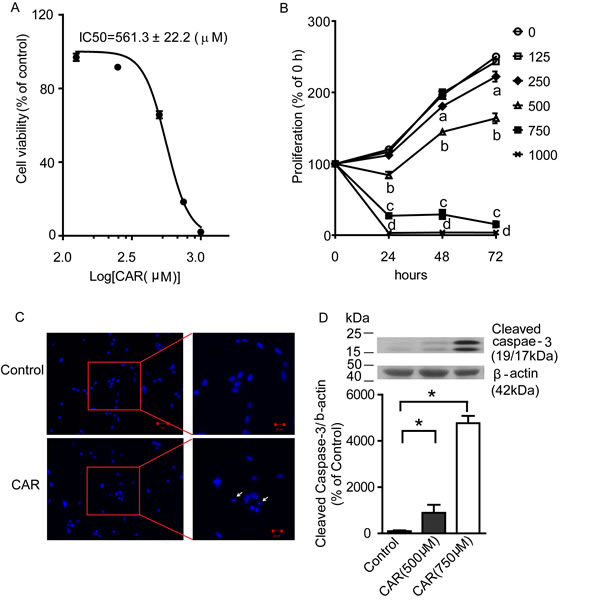 fig3
