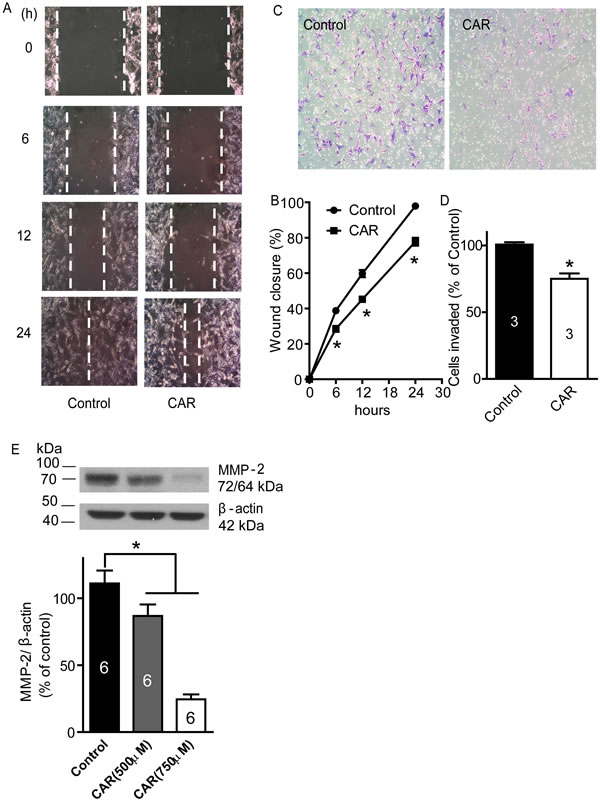 fig4