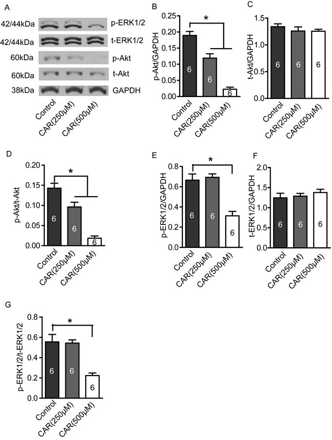 fig6