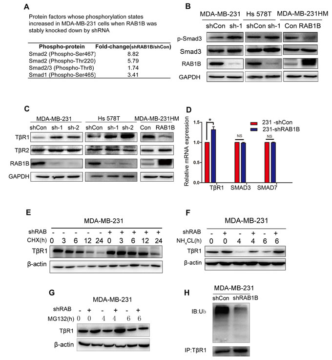 fig3