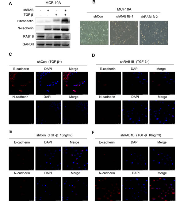 fig4