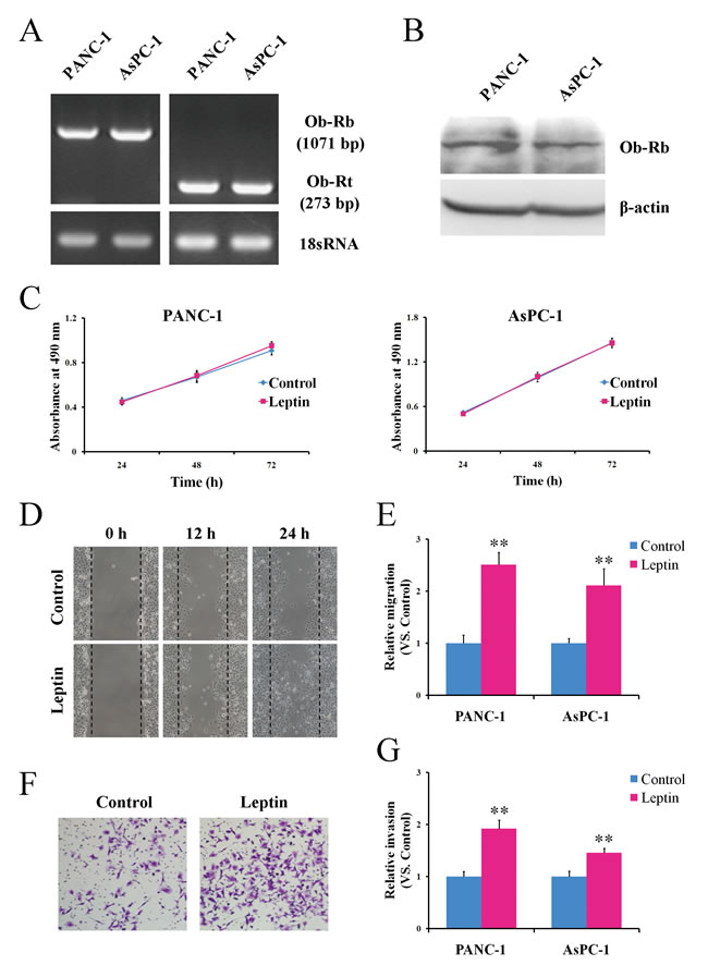 fig1