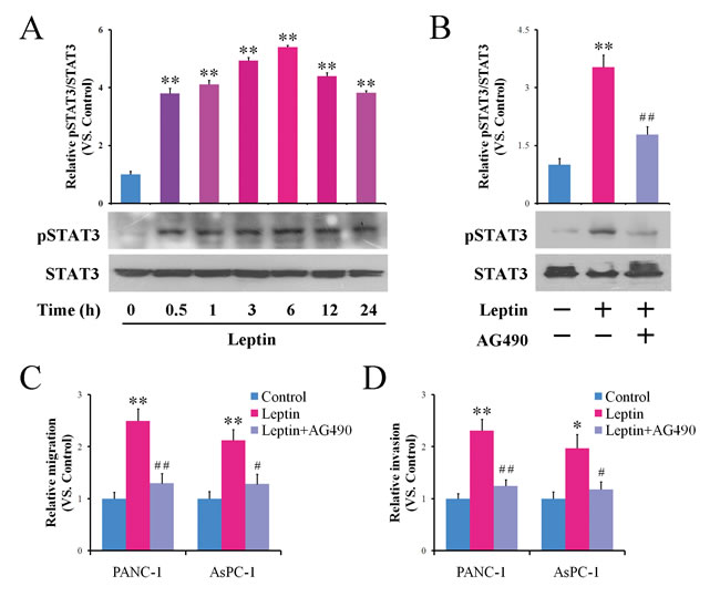 fig2