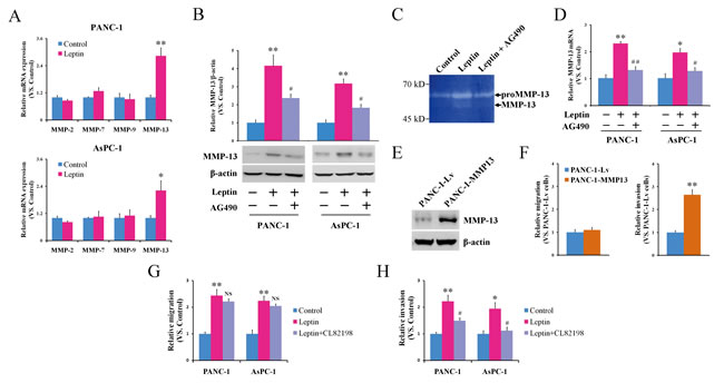 fig3