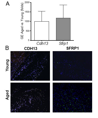 fig4