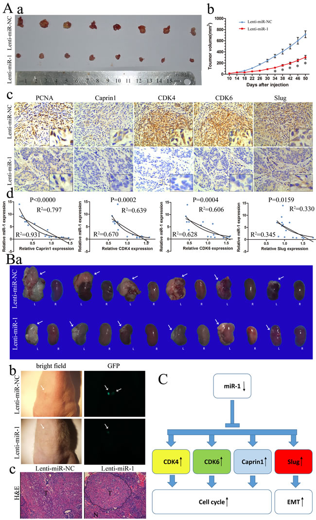 fig6