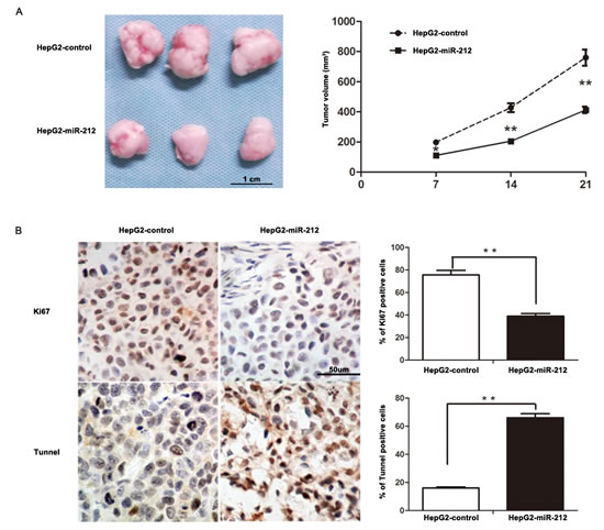 fig3