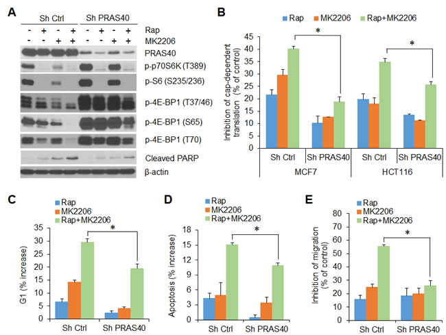 fig6