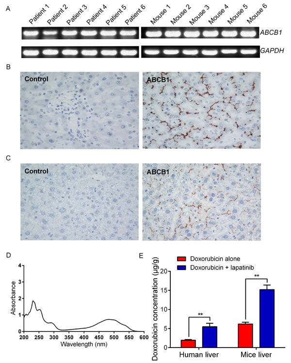 fig3