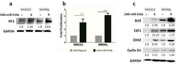 fig3