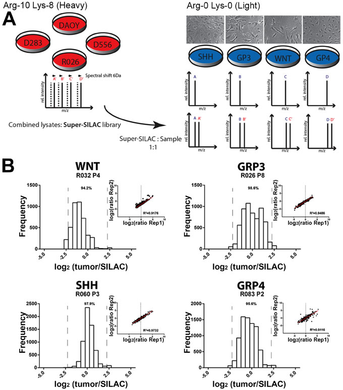 fig1