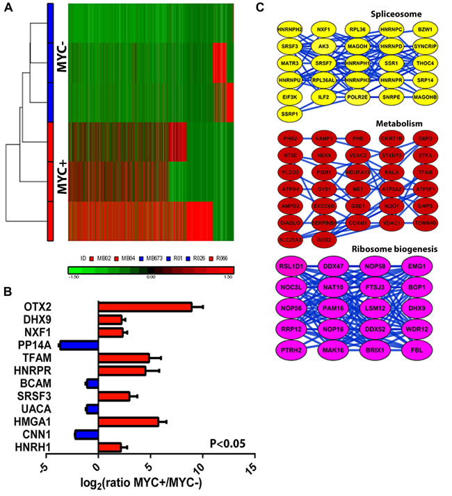 fig2