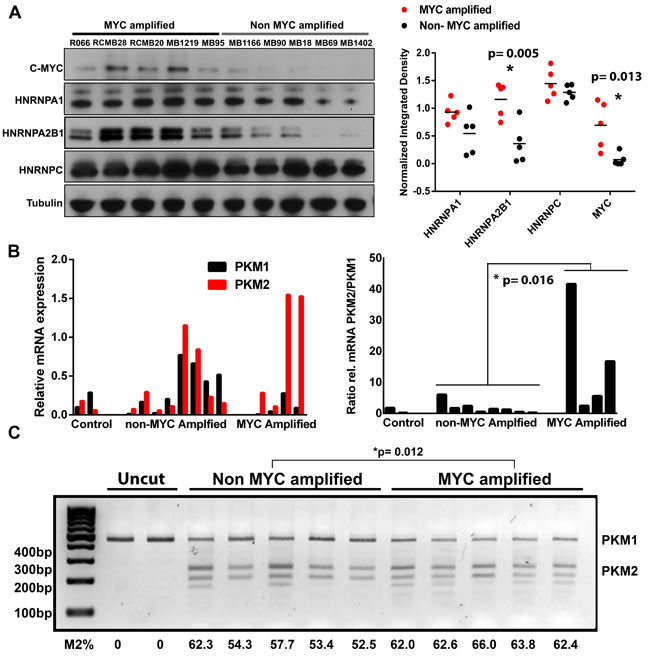 fig3