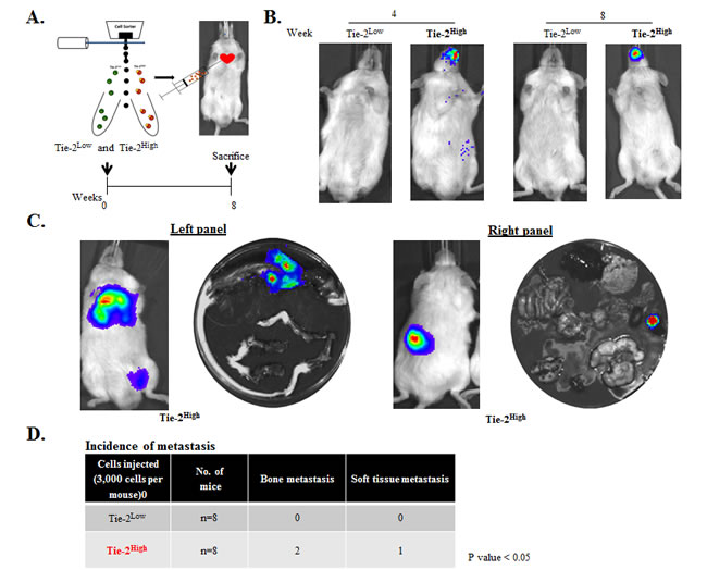 fig6
