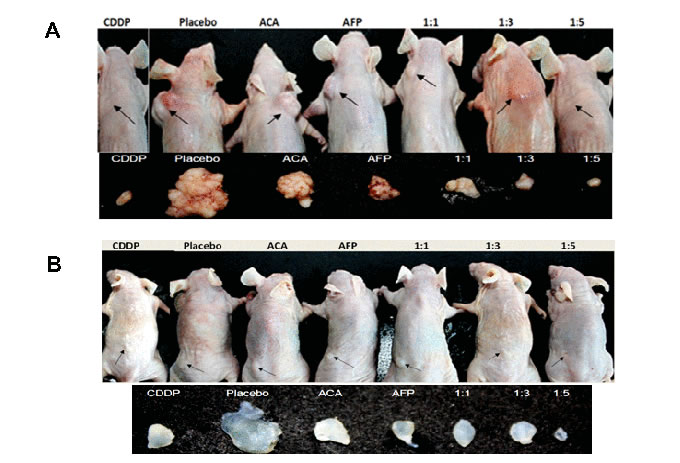 fig3