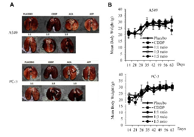 fig4