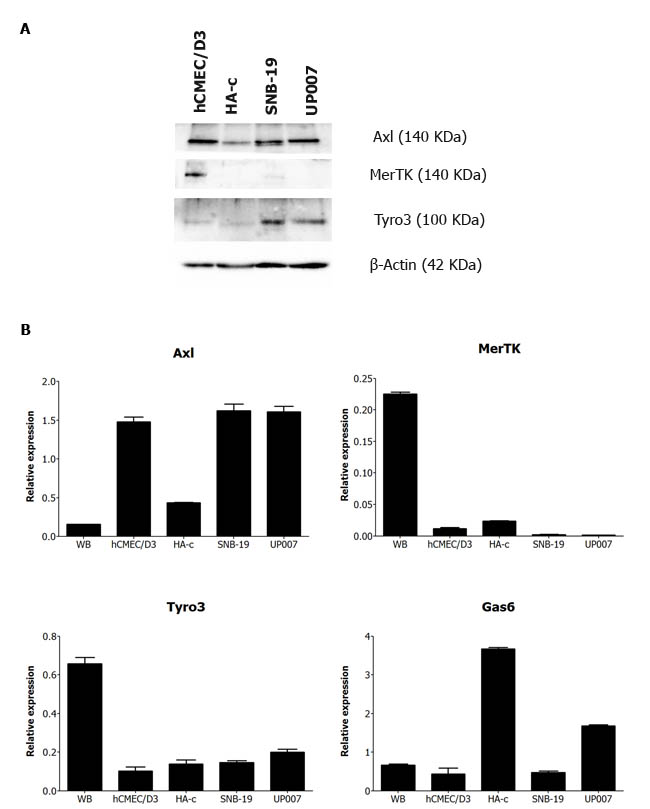 fig1