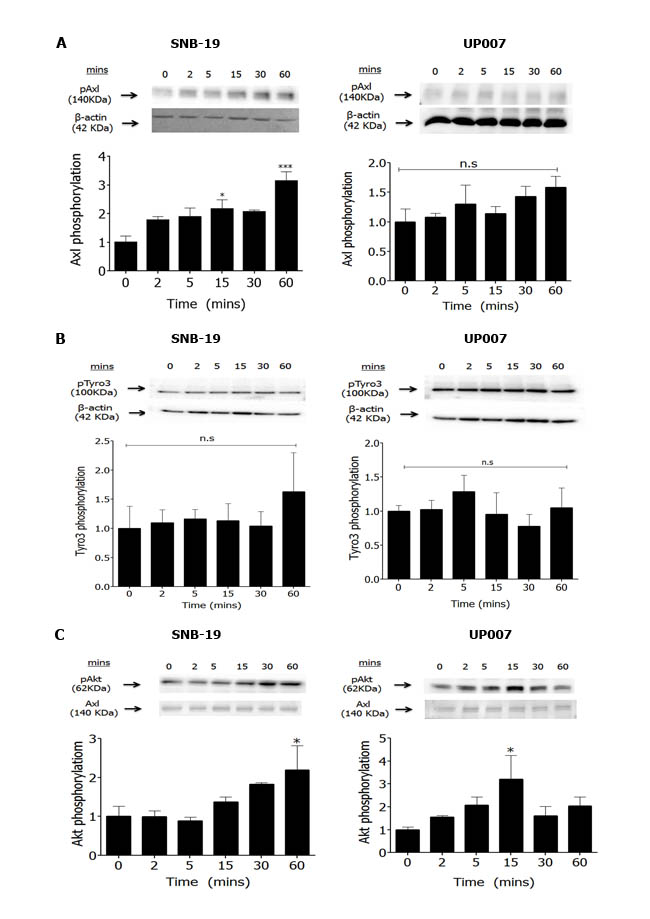 fig2
