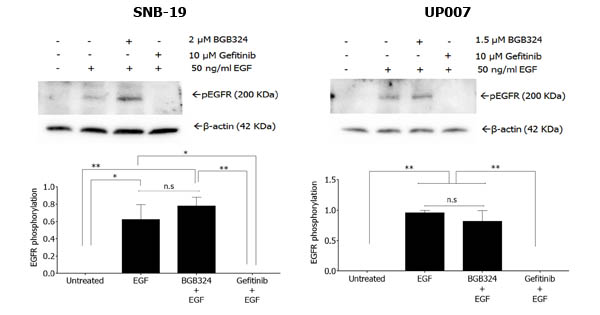 fig3