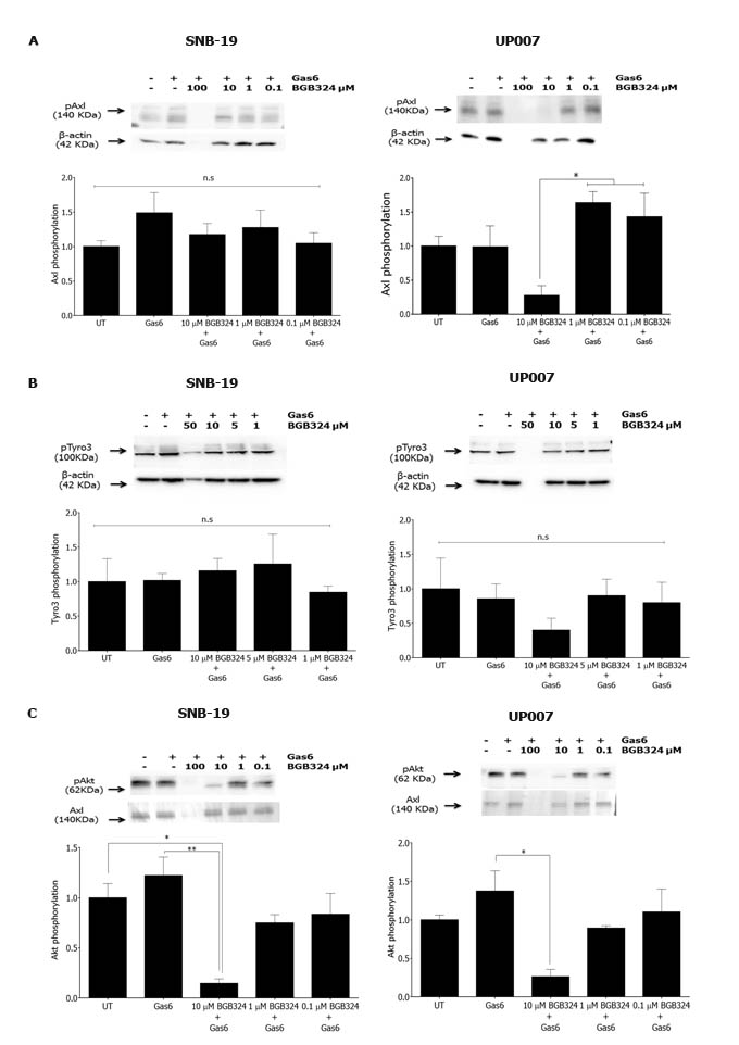 fig4