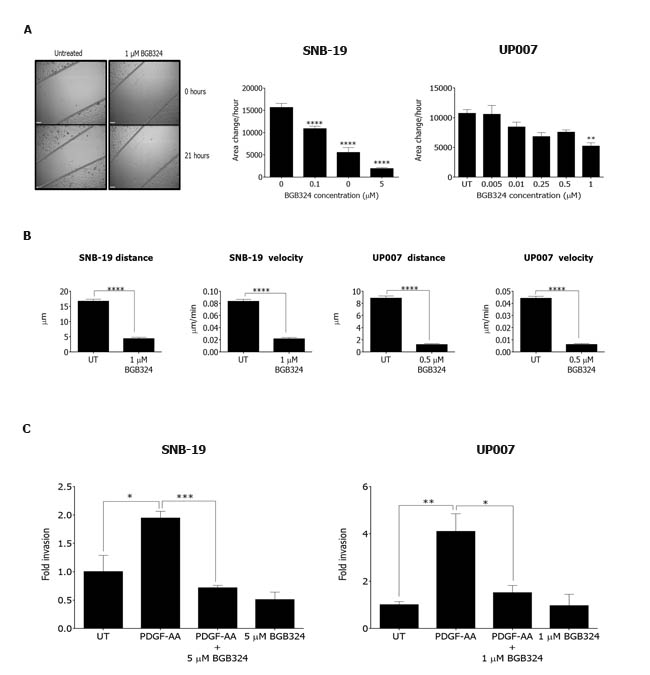 fig8