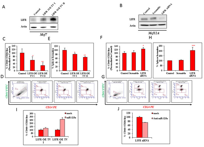 fig3