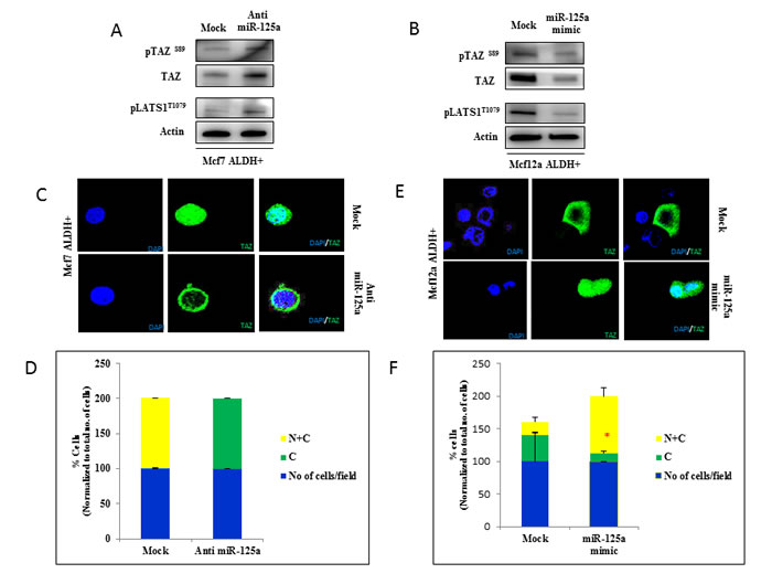 fig4