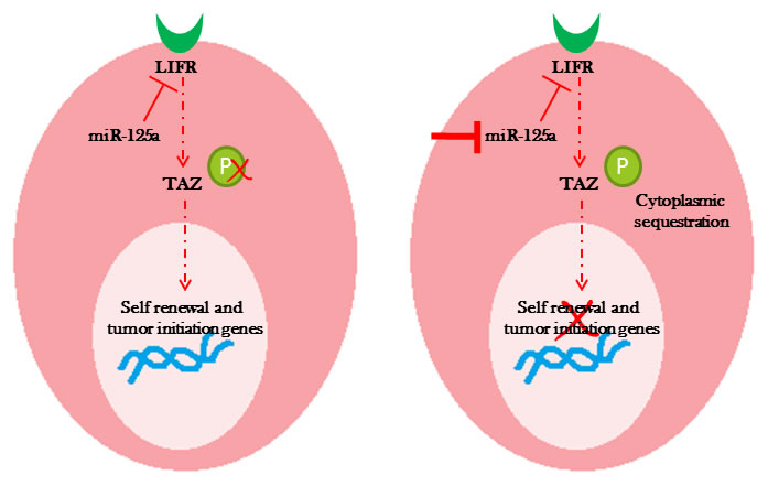 fig5