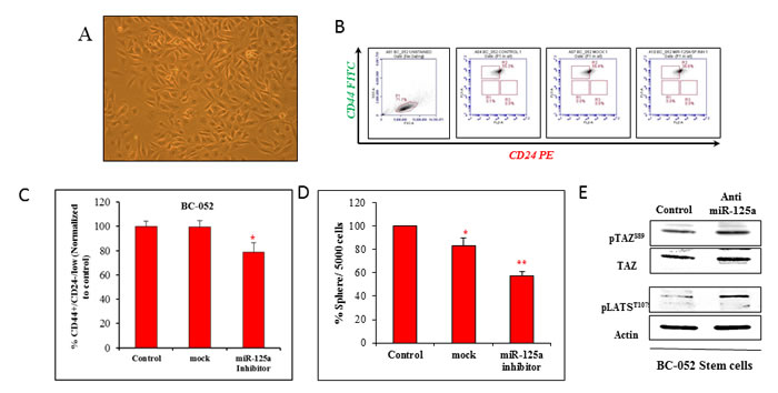 fig6