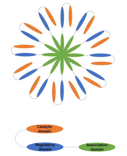 fig1