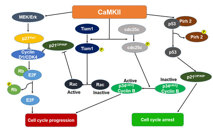 fig3