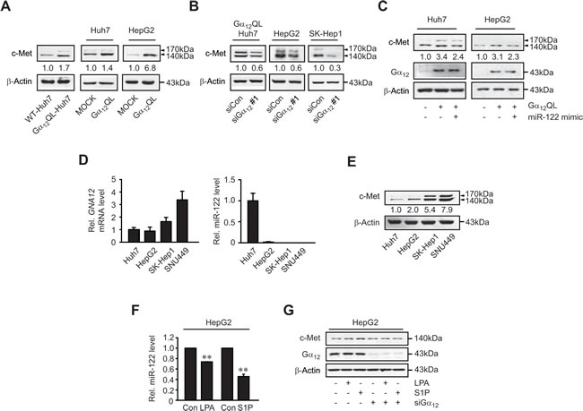 fig3