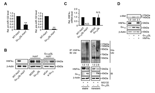 fig4