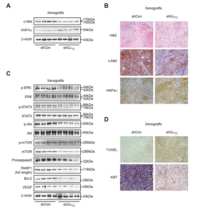 fig6