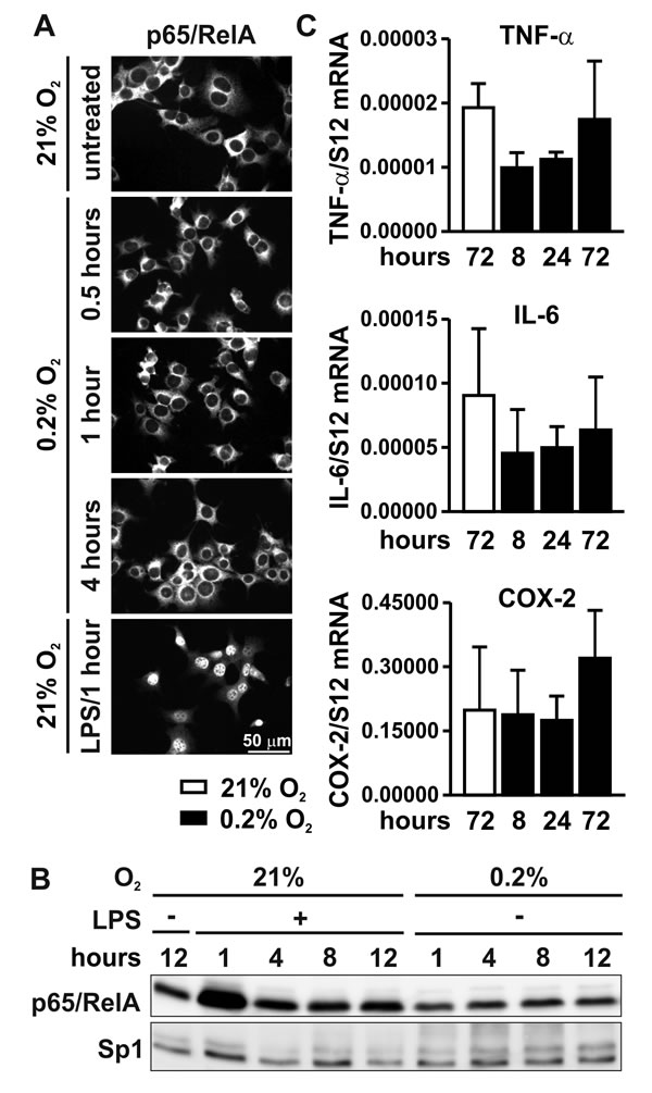 fig3