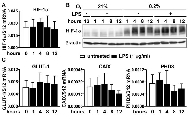 fig4