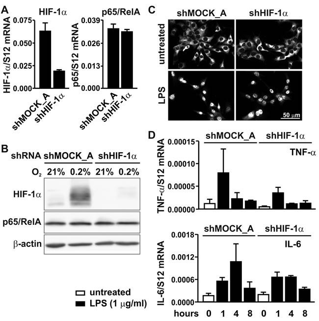 fig6