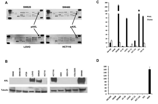 fig1