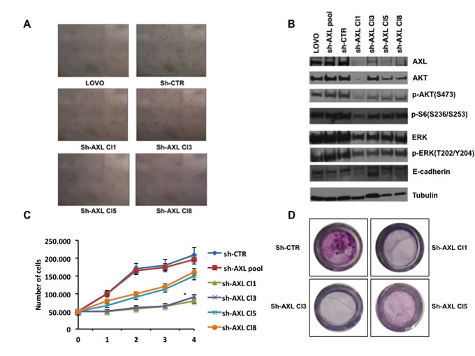 fig3