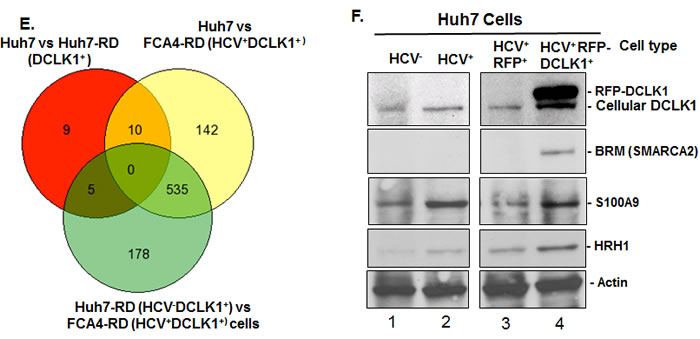 fig1a